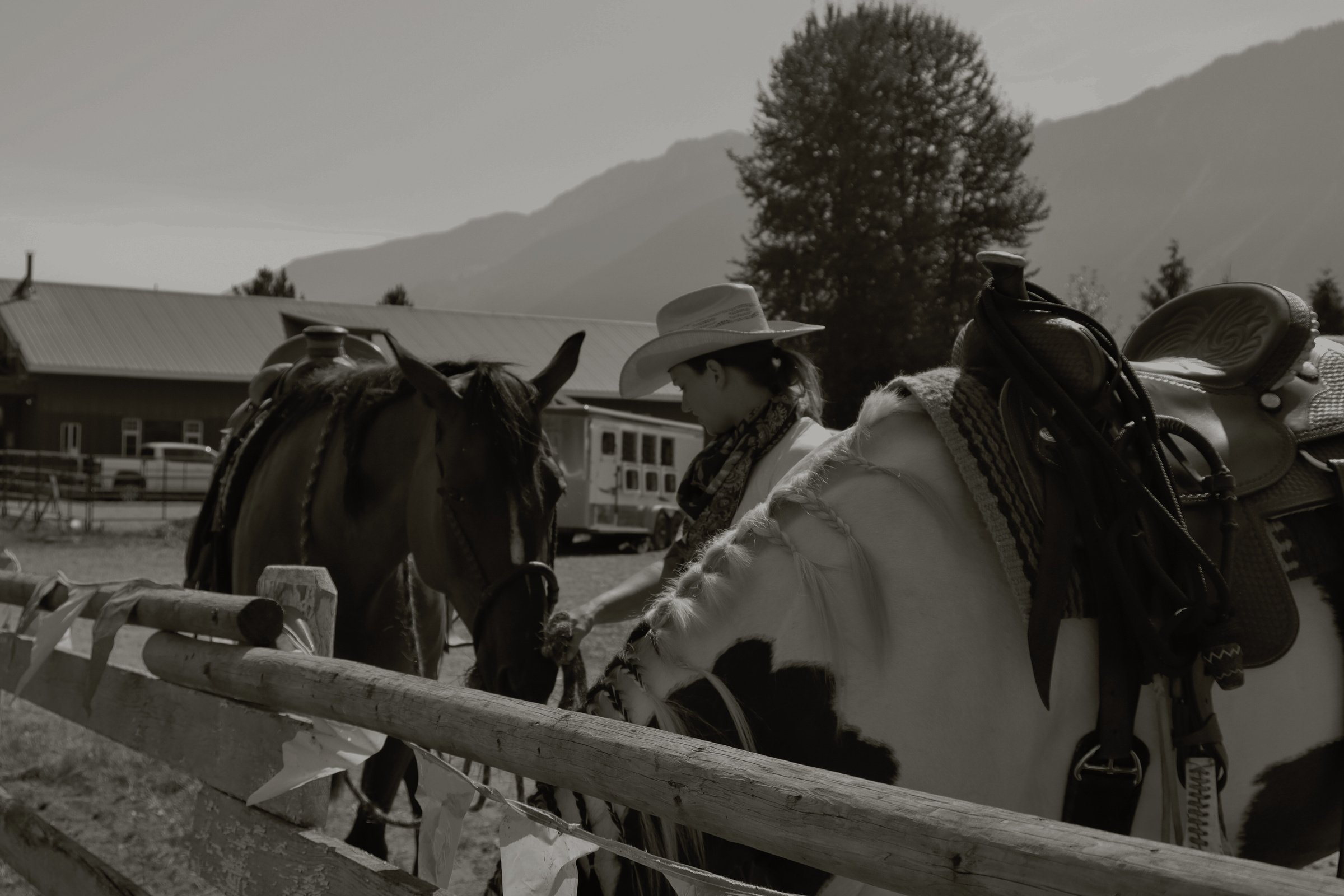 Pemberton Valley Horse Association